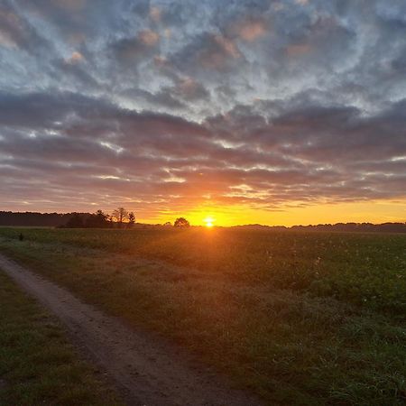 Gabis Ferienwohnung Bendingbostel Exteriör bild