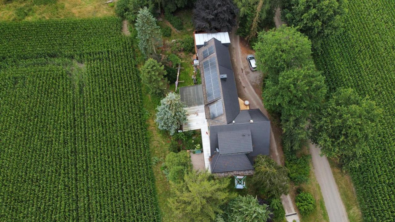 Gabis Ferienwohnung Bendingbostel Exteriör bild