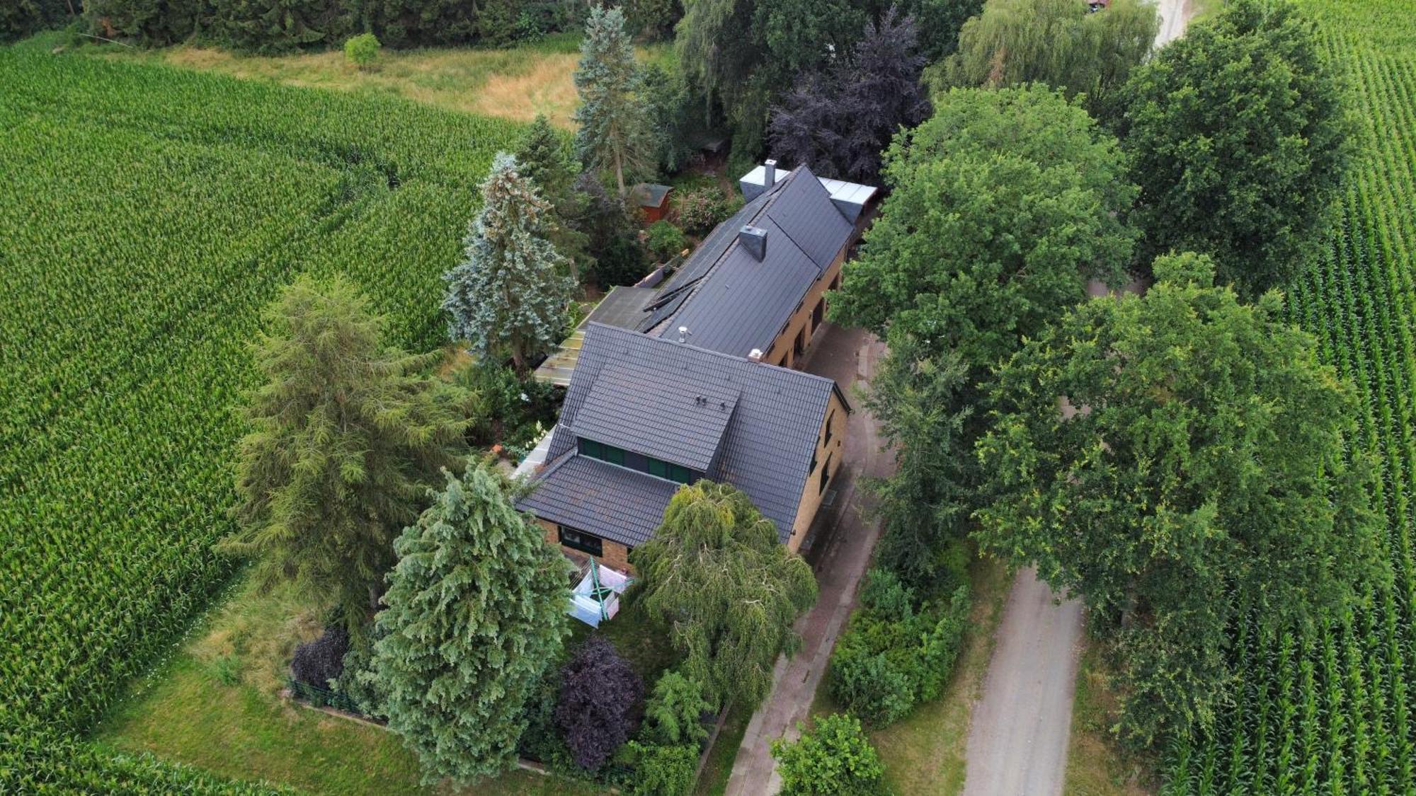 Gabis Ferienwohnung Bendingbostel Exteriör bild